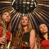 deutsches-saxophon-ensemble-2014 Bild